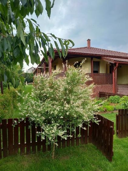 Casa individuala cu teren 750mp, garaj, beci, terasa - Dezmir, zona centrala - 1