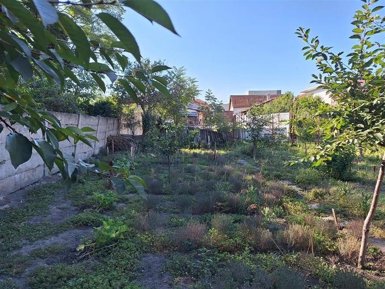 Reco, Casa Oradea Central - 8