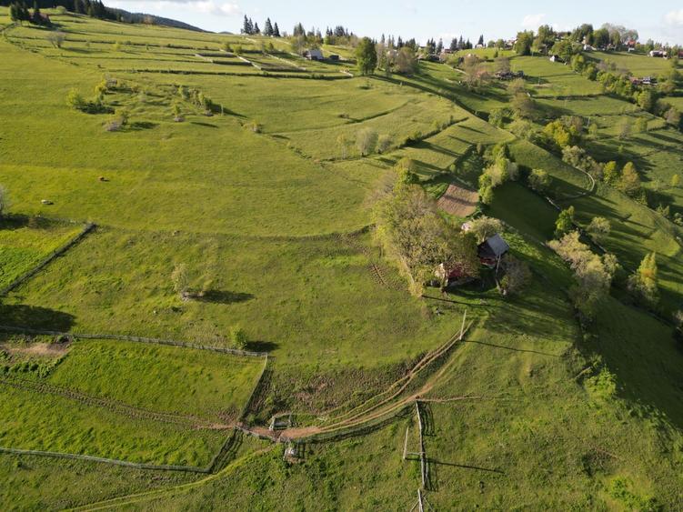 Teren de vanzare, Muntele Bocului Baisoara ,teren1000 mp - 10