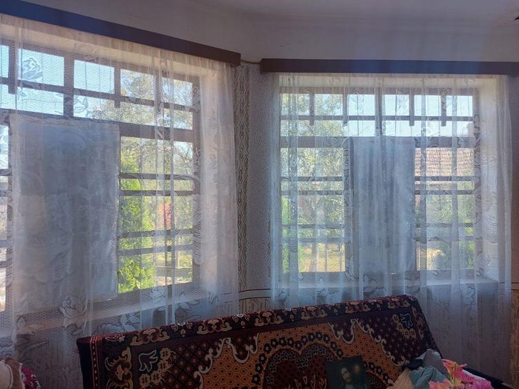 Vand casa in localitatea Vasad - 6