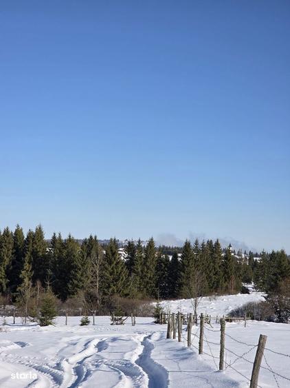 Teren 4000mp, in zona montana, Belis/Cluj - 5