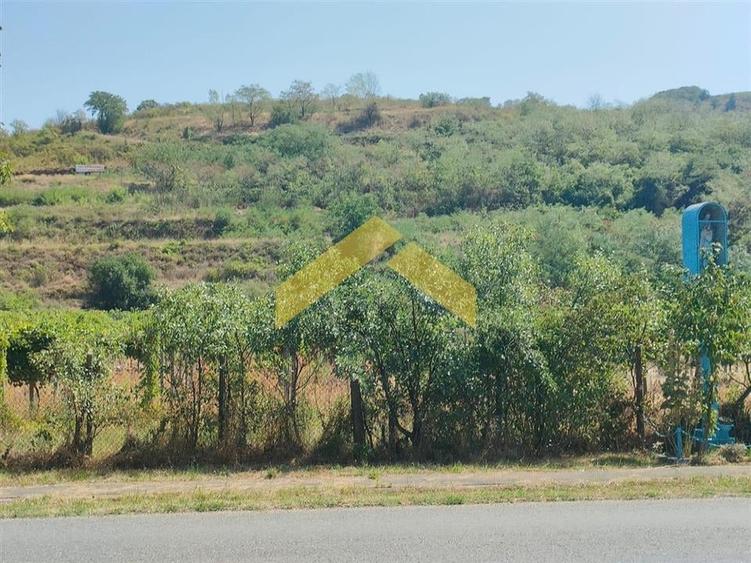 Teren intravilan pe deal Paulis, Arad - 1