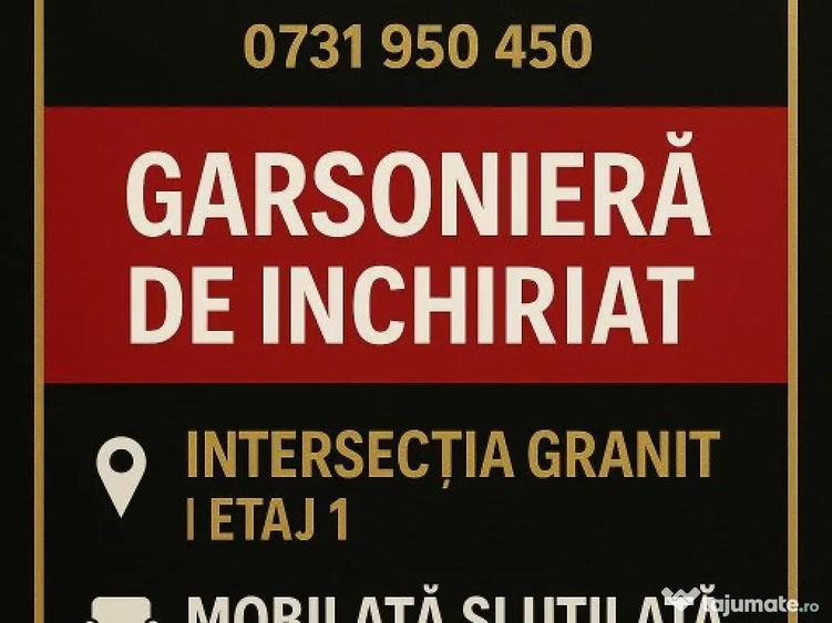 Garsoniera - granit - si animale de companie - 4