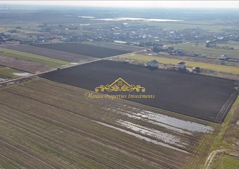 Teren intravilan case 10.000 mp, Str Sportului, Ulmi - 6