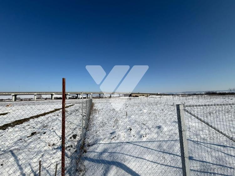 Teren agricol 4200 mp pretabil investitie imprejmuit ,Calea surii mici - 6