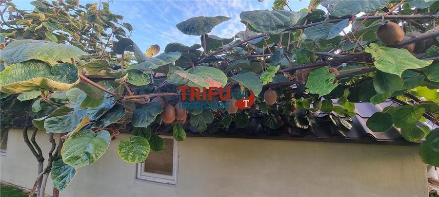 Casa de vanzare pretabila pentru 2 familii situata in proximitatea Cetatii Alba - 29