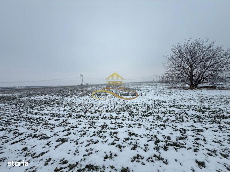 Teren agricol extravilan in Itesti de vanzare - 4