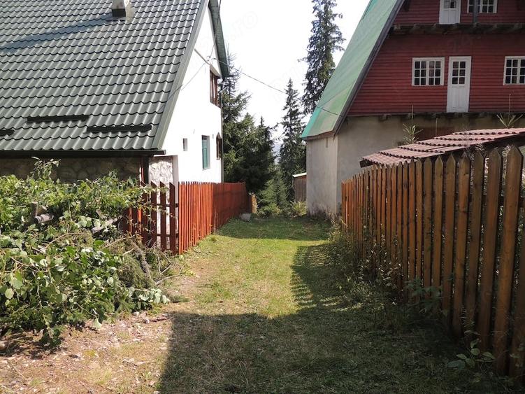 Teren in statiunea Muntele Baisorii, Cluj - 6