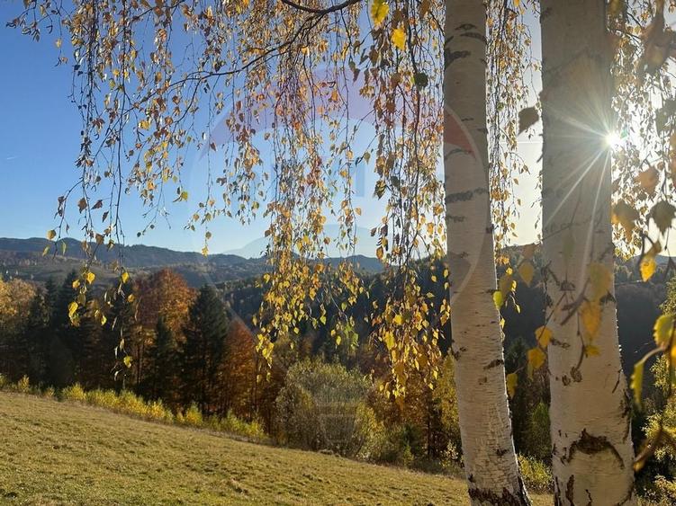 Oportunitate de investiție ! Teren de vis în Pestera - 125.370 mp - 23