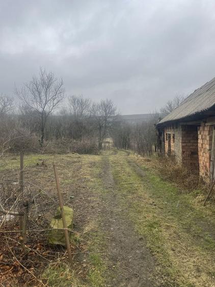 Casa cu Anexe Garceiu - 3