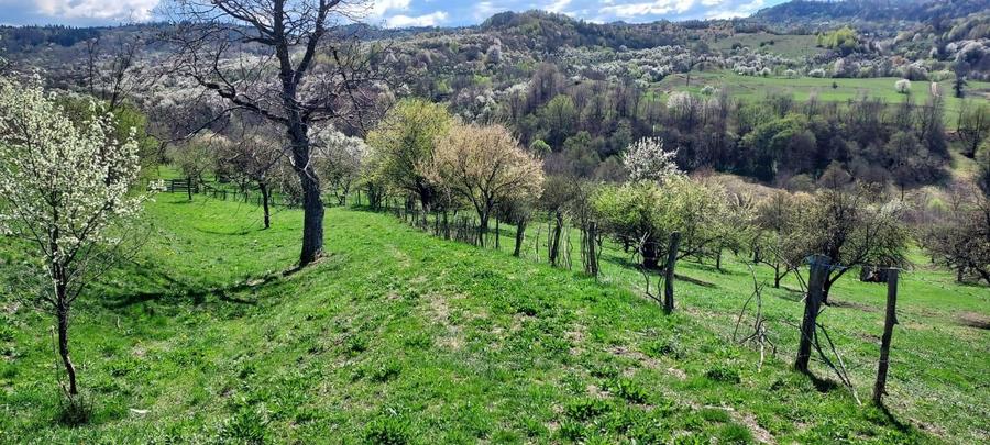 Campulung Grui, Flamanda, Valea Romanestilor si Schitu Golesti - 4