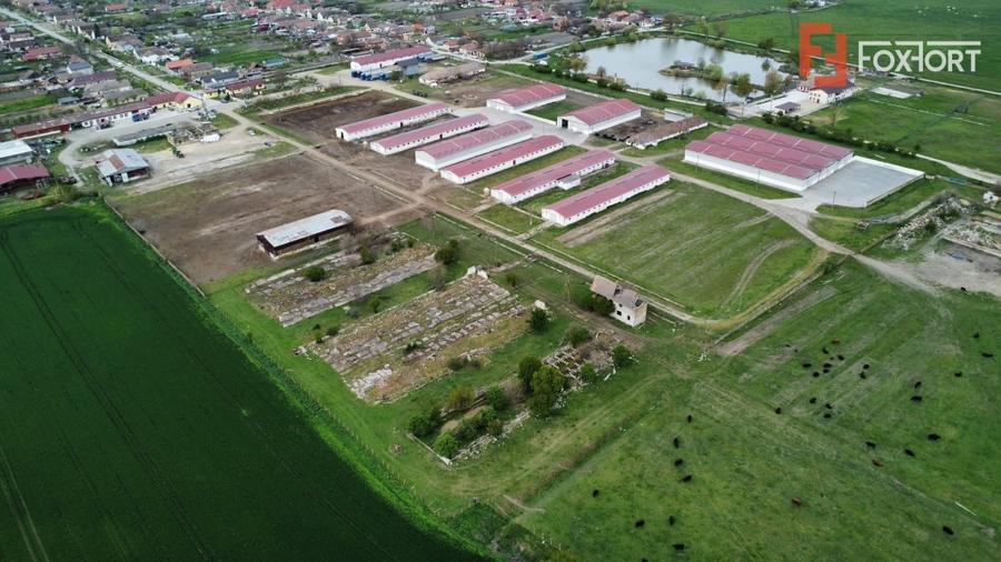 Teren Construcții intravilan de 58340 mp, în Sânmartinu Sârbesc