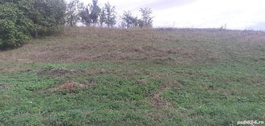 Teren de 555 mp, în Viforâta