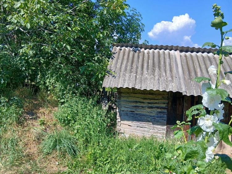 Casă cu 3 camere în Vâlcani