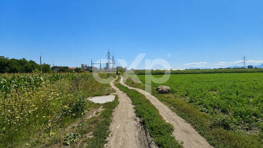 Teren agricol intravilan de 17204 mp, în Stupini