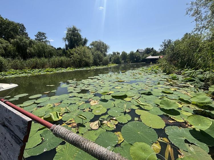 Teren Construcții intravilan de 8000 mp, în Ghermănești