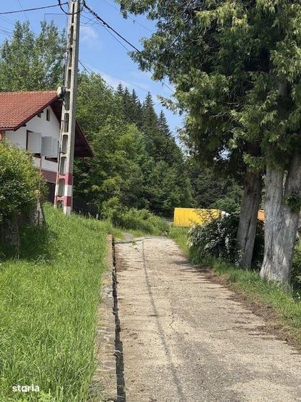 Spațiu comercial, în Timișu de Sus