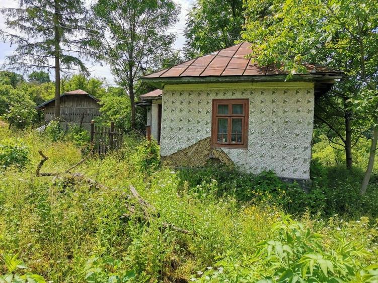 Teren de 2000 mp, în Cosmina de Sus
