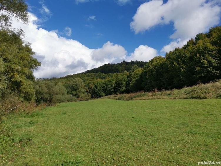 Teren de 3000 mp, în Boiu Mare