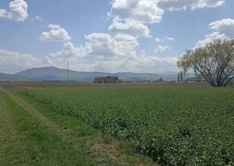 De vanzare teren extravilan langa drumul DN11 - 7