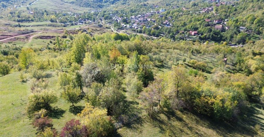 Teren extravilan, 41.631,00 mp, zona Pietrosita