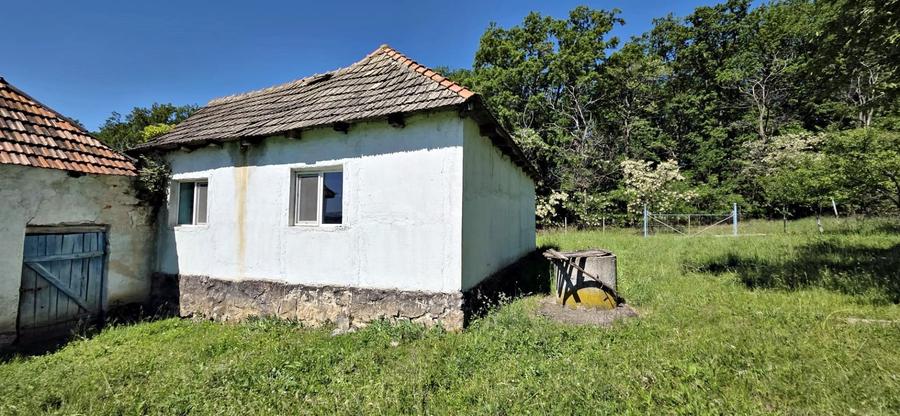 Casa de vanzare si teren de 24000 mp in Fasca, langa padure, 45 km de Oradea - 10