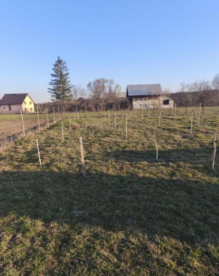 Casa finisata, teren 2500mp, Marginea - 19