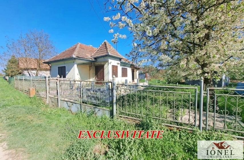 Casa de vanzare in Lunca Muresului - Gura Ariesului - 1