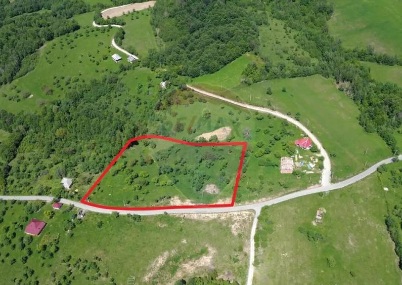 Teren intravilan de vanzare 12,700mp Codru Butesii / Stra... - 2