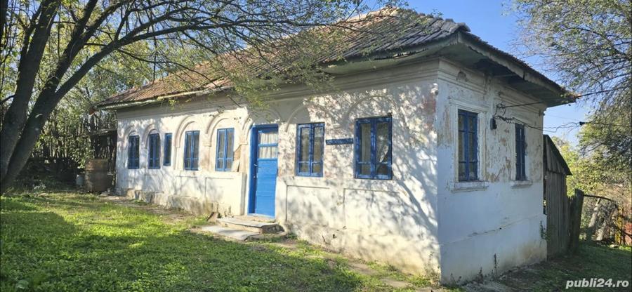 Teren si Casa 4.021 mp in comuna Goie?ti - 8