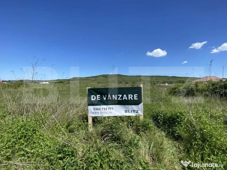 Teren Intravilan zona Industriala - 1