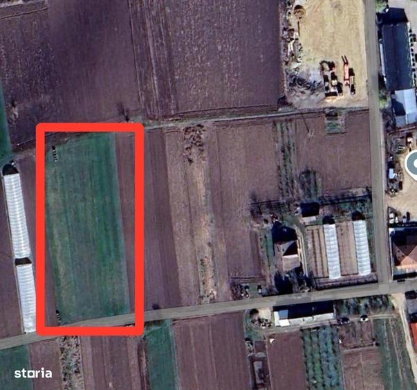Teren intravilan in Bors - 1