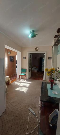 Stadion - Delfinariu - Casa - 4