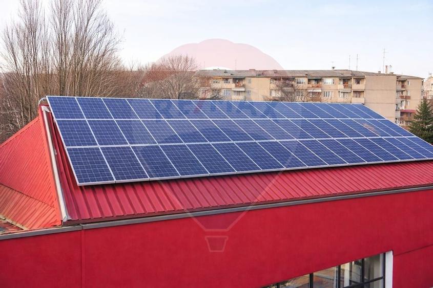 BEST DEAL! Energie gratis 500 mp Teiul Doamnei - 2