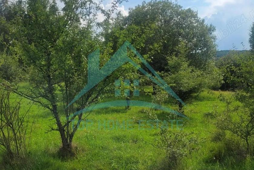 Teren pentru cabana pensiune zona Lac Micesti! - 2