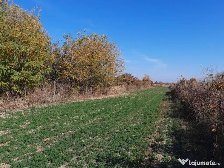 Vand proprietate in sat Brate?ti, com. ?irna, jud. Prahova - 12