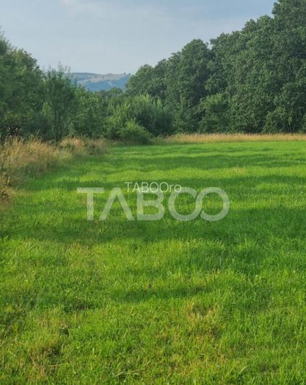 Teren pretabil cabana sau gradina 1670 mp zona deosebita Sib