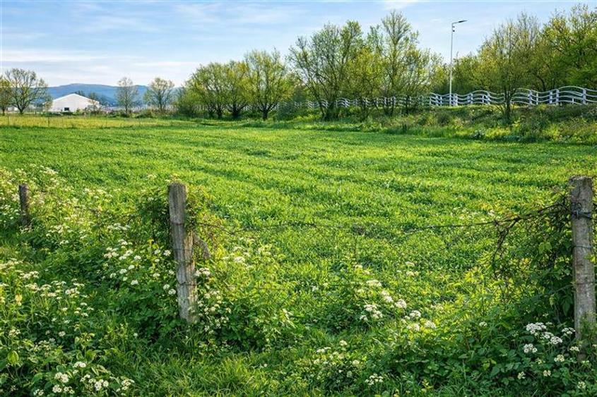 Teren extravilan 1450 mp, din care curti constructii 312 mp, Sfantu Gheorghe - 1