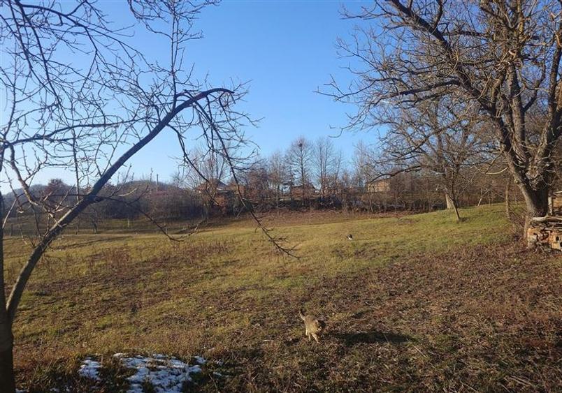 Se vinde Casa si teren cu priveliste, zona rurala - 18