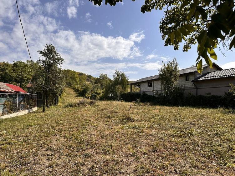 Teren 1125mp Aninoasa deschidere 25m - 4