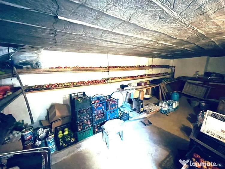 Casa 6 camere Finis - 15