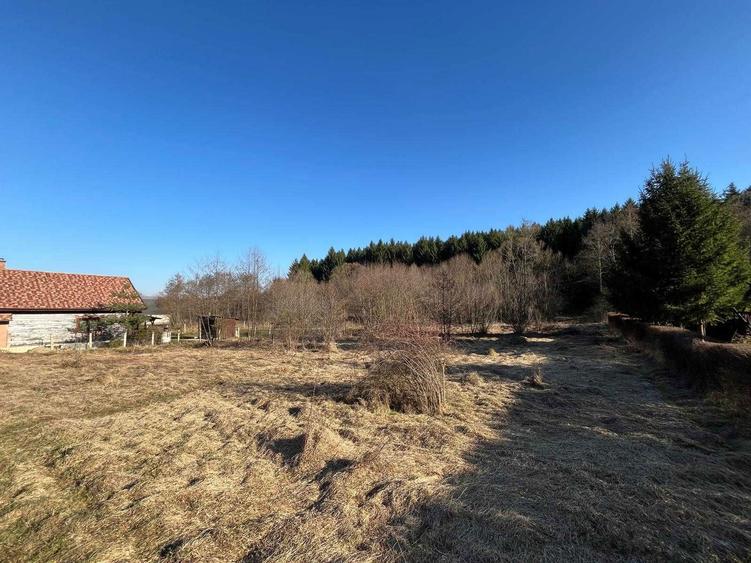 Teren Intravilan intre Savadisla si Finisel, 1250 mp, jud. Cluj - 2