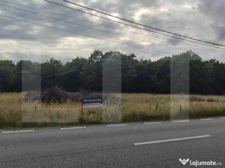 Teren intravilan, 1150 mp, Drumul Sf. Ion, Faget - 3