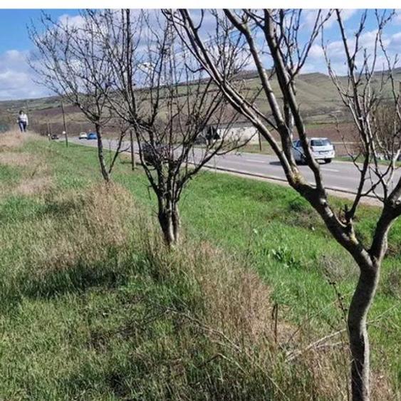 Teren cu proiect de casă + autorizație construcție, 18km de Cluj - 4