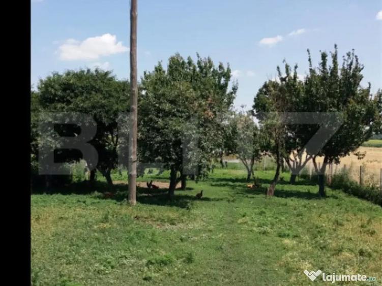 Casa pe parter 50mp utili + teren 4700mp, Bailesti - 2