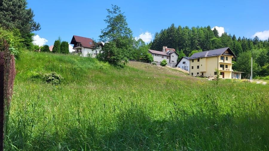 Ana Ipatescu, Bucuresti, sector 1 - 1