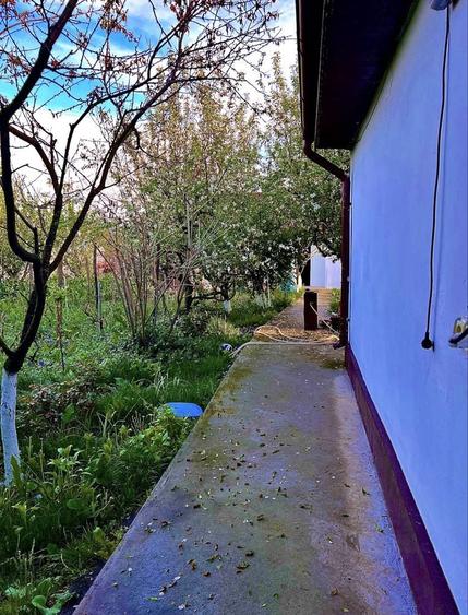 Casa+teren de vanzare in moara domneasca - 1