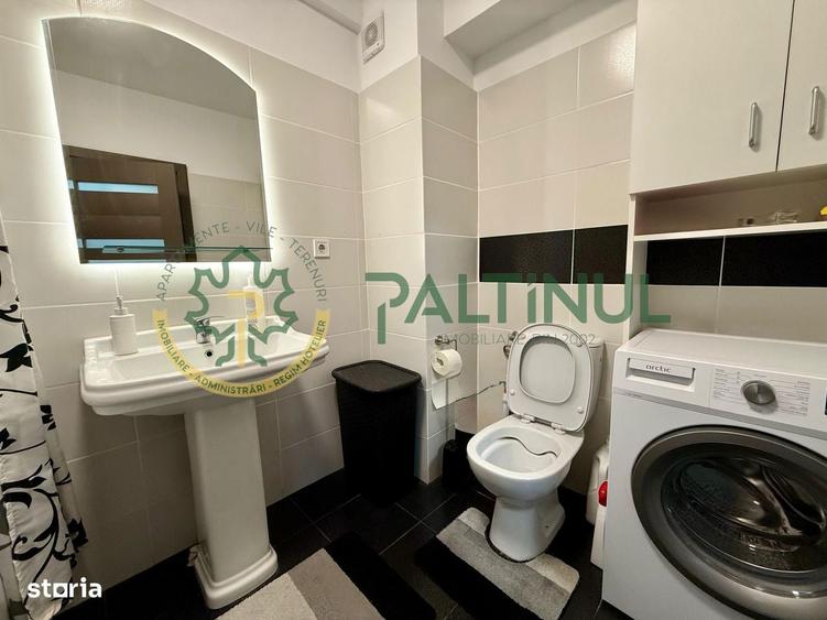 Apartament 1 camera de inchiriat Sibiu - 12