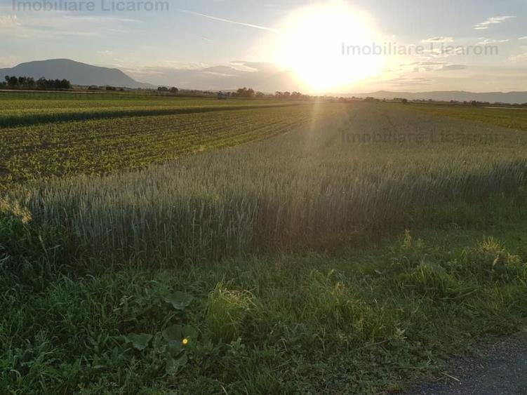 Teren Stupini Calea Feldioarei 4600 mp,21 euro/mp, front la asfalt - 2