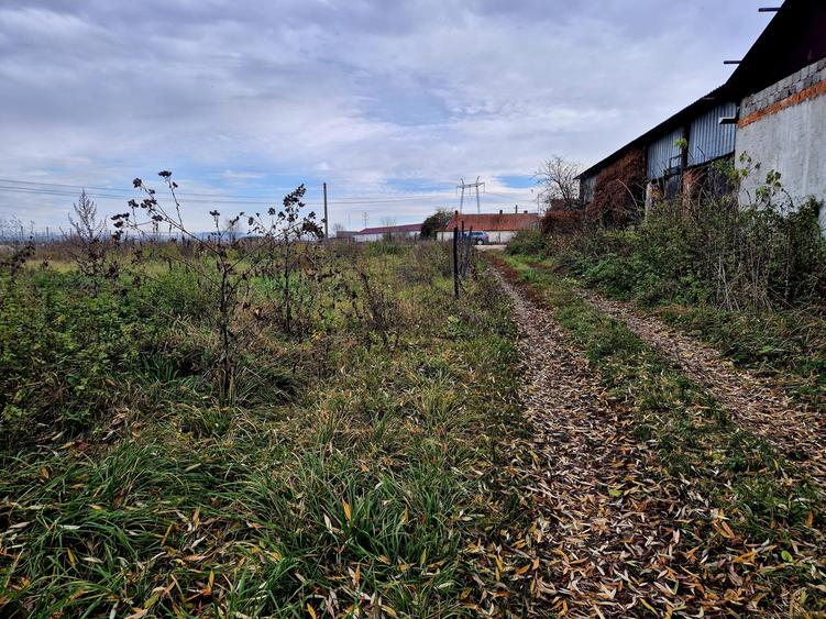 Teren constructie hala/depozit/mica insdustrie/service auto, Halchiu - 5